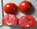 Tomaten-Würzsoße oder würzige Streichcreme