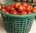 Tomaten-Würzsoße oder würzige Streichcreme
