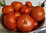 Griechische Tomatensoße