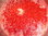 Blutpflaumen-Fruchtaufstrich